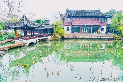 紹興的這個(gè)公園隱于市,匯集了江南園林的溫婉秀美