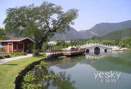 回顧發展的60年 1990年至1999年的北京